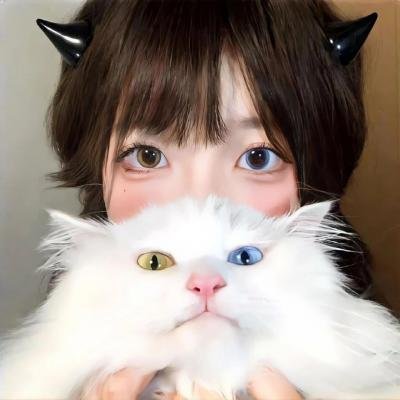 无敌猛鲨